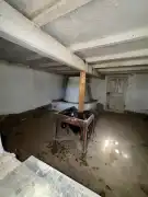 Bács-Kiskun megye - Kiskunfélegyháza