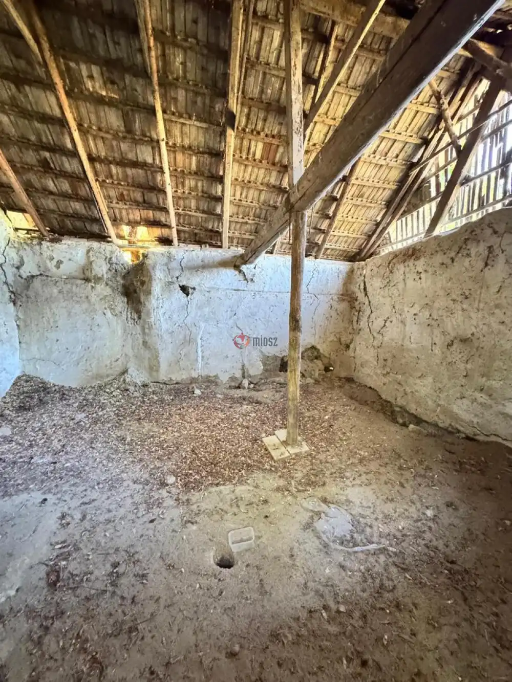 Bács-Kiskun megye - Kiskunfélegyháza