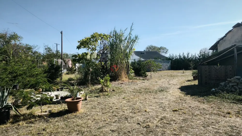 Csongrád megye - Kistelek