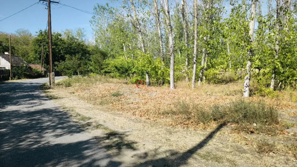 Csongrád megye - Kistelek