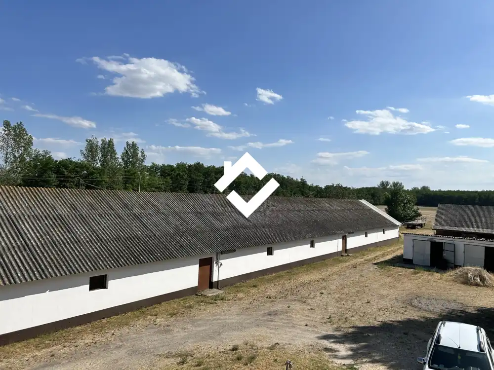 Bács-Kiskun megye - Lajosmizse