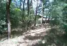 Bács-Kiskun megye - Lajosmizse