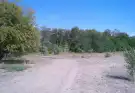Bács-Kiskun megye - Lajosmizse
