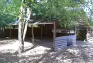 Bács-Kiskun megye - Lajosmizse