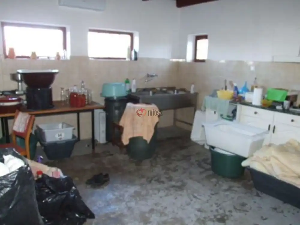 Békés megye - Mezőhegyes