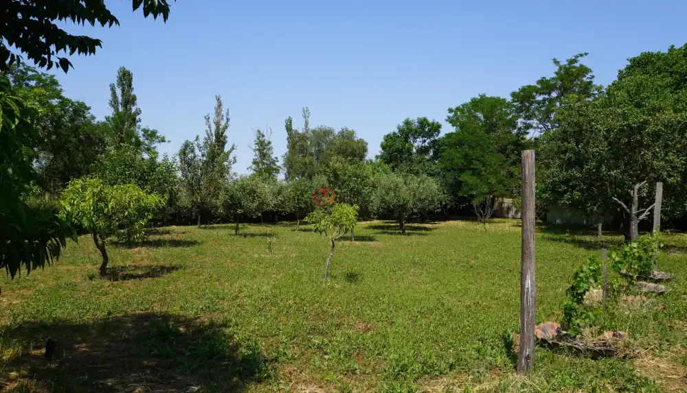 Csongrád megye - Sándorfalva