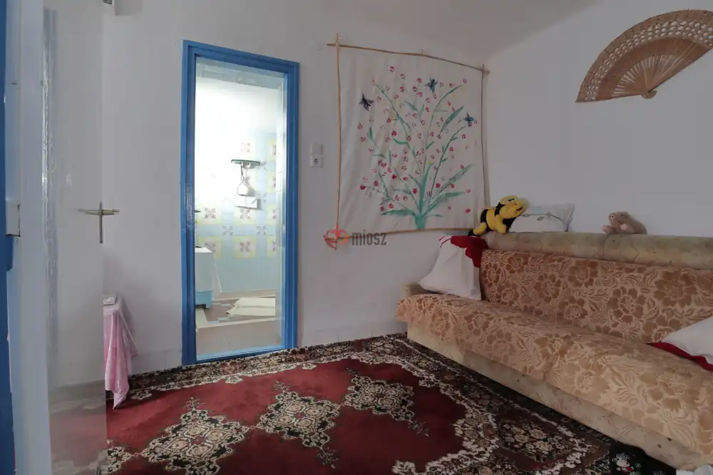 Csongrád megye - Sándorfalva