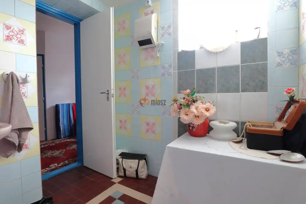 Csongrád megye - Sándorfalva