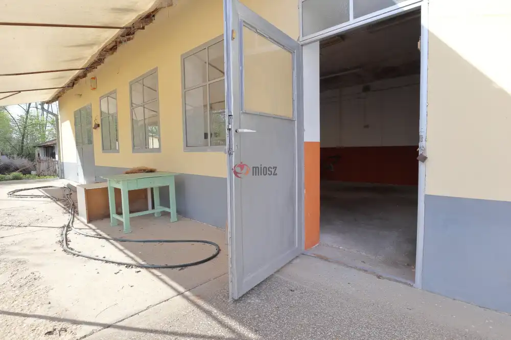 Csongrád megye - Sándorfalva