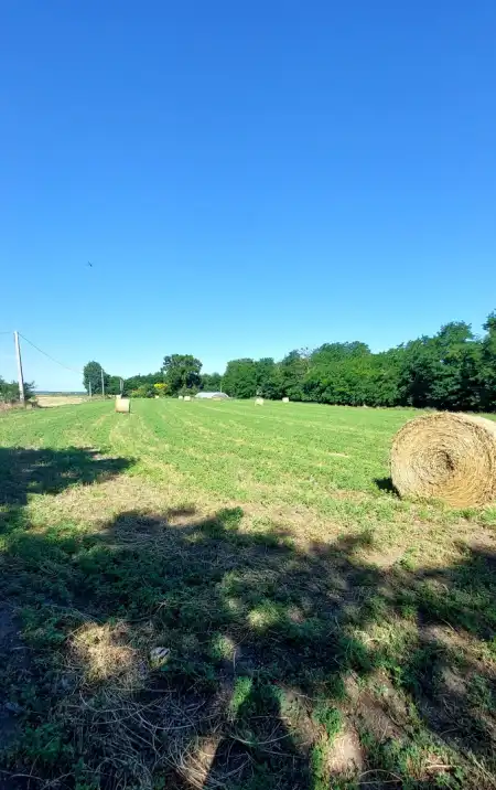 eladó tanya, Solt eladó tanya, Solt