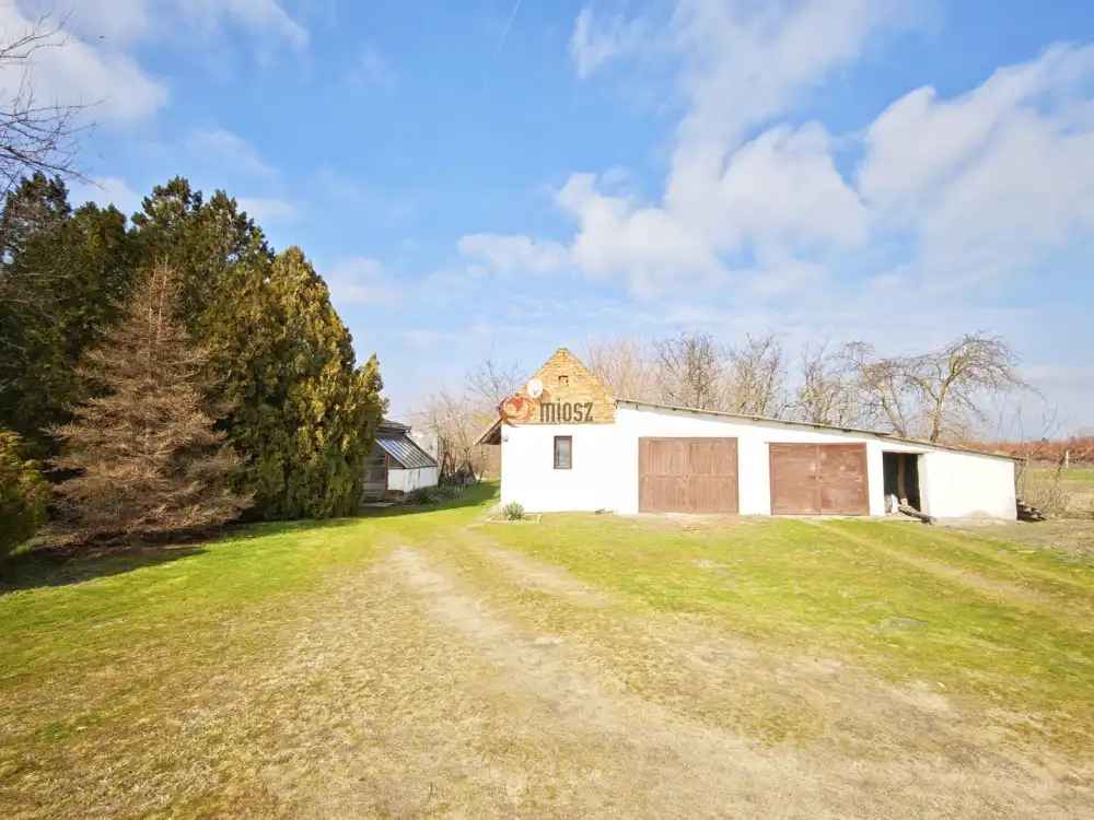 Csongrád megye - Szatymaz