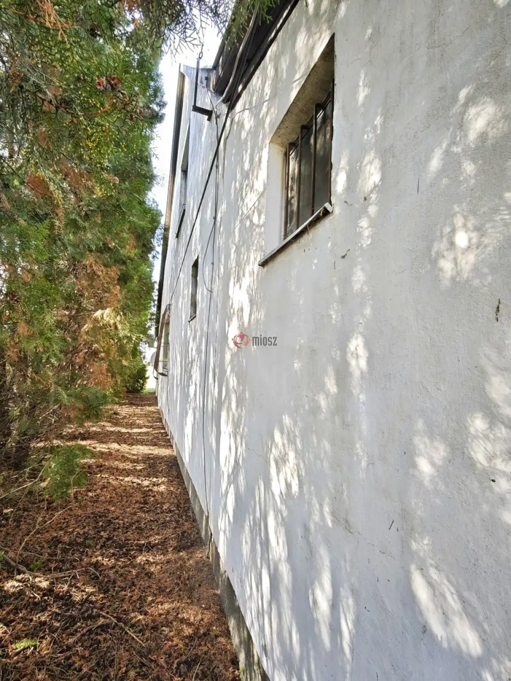 Csongrád megye - Szatymaz