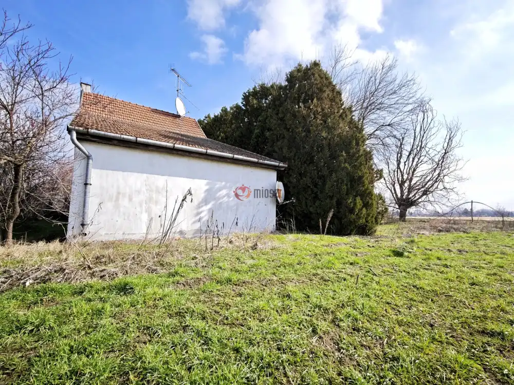 Csongrád megye - Szatymaz