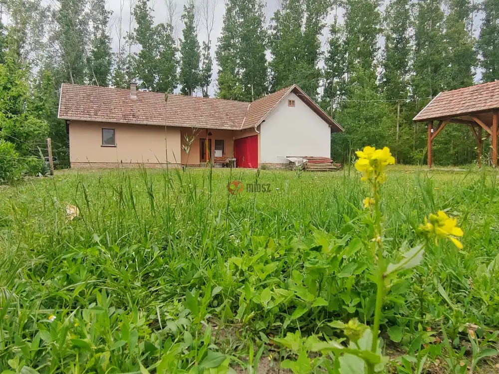 Csongrád megye - Szatymaz