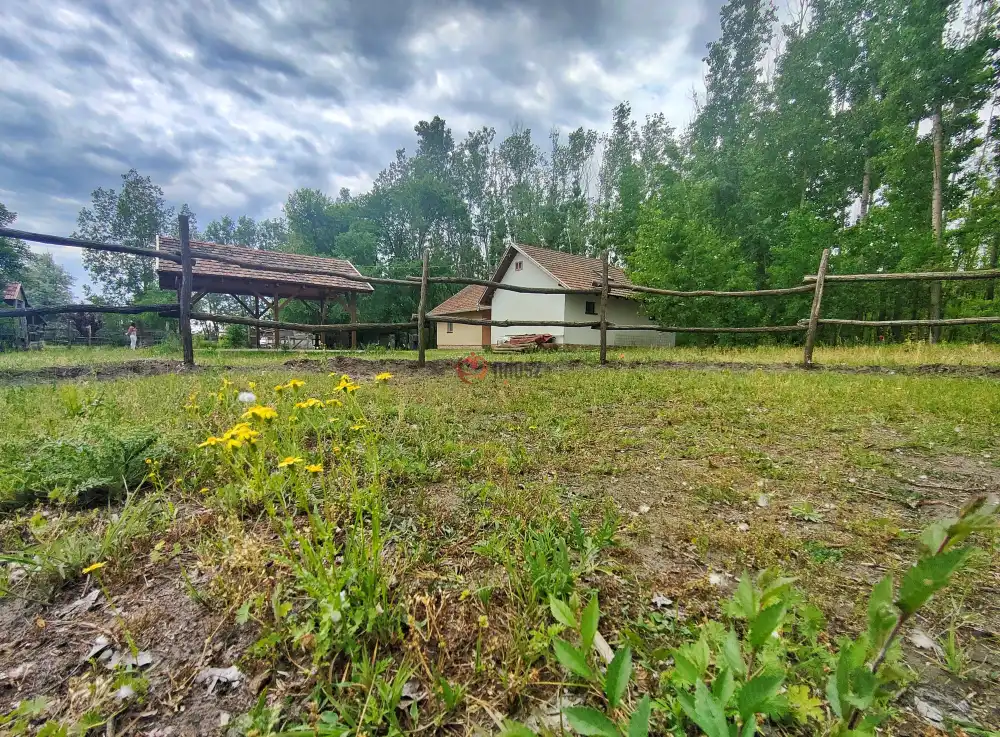 Csongrád megye - Szatymaz