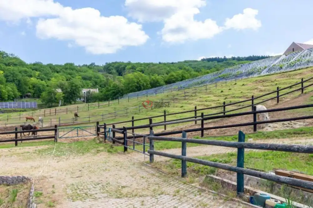 Tolna megye - Szekszárd