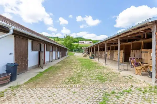 Eladó tanya, Szekszárd 350 m² 72 M Ft