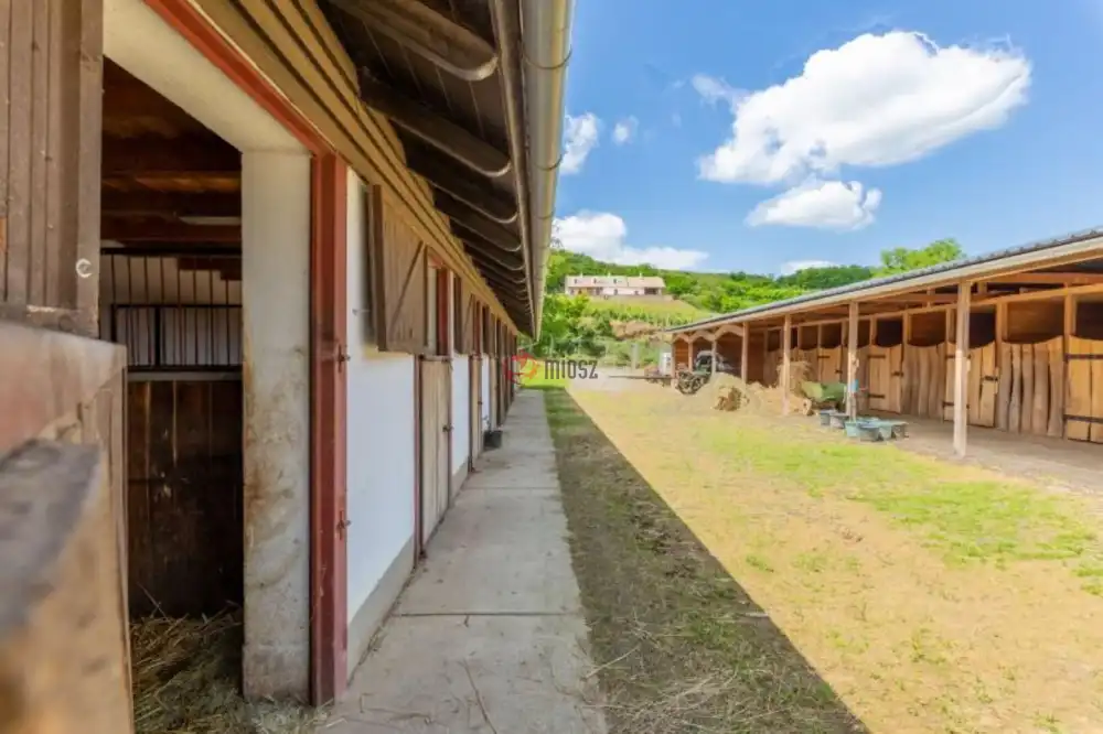 Tolna megye - Szekszárd