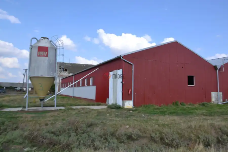 eladó tanya, Szolnok