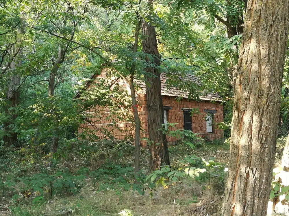 Csongrád megye - Zsombó