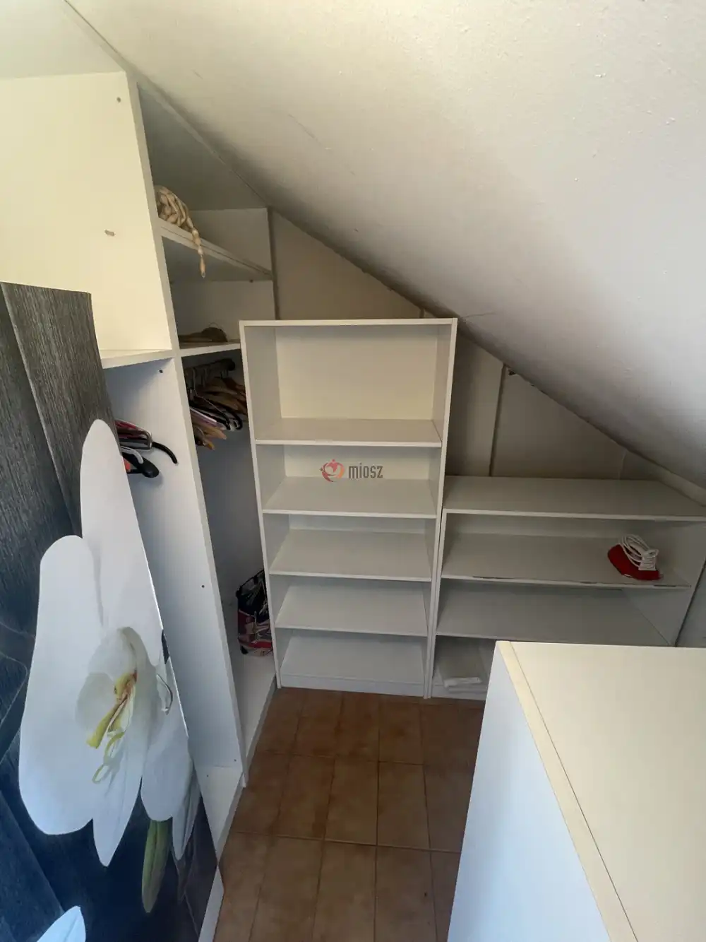 Békés megye - Békéscsaba