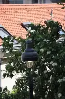 Budapest, I. kerület - Gellérthegy