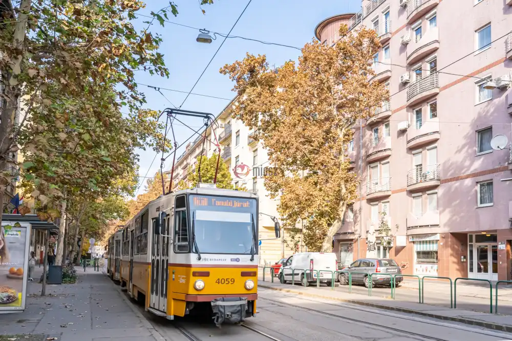 Budapest, IX. kerület - Rehabilitációs terület