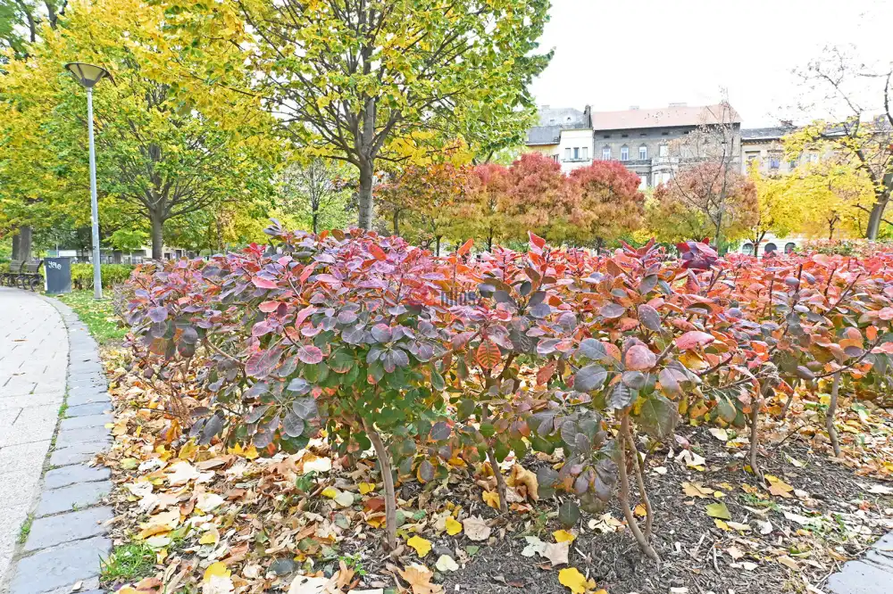 Budapest, VIII. kerület - Népszínház negyed