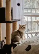 Budapest, XII. kerület - Németvölgy