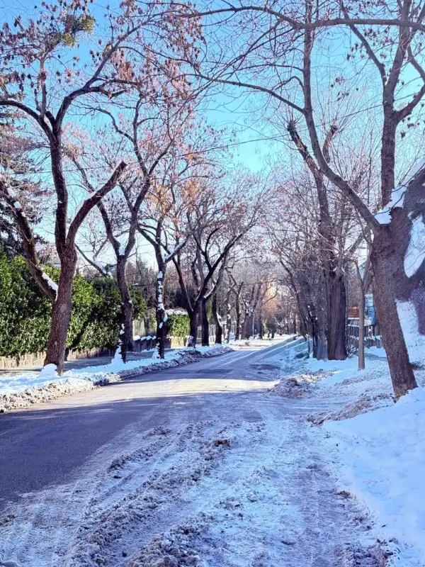 Eladó téglalakás, Budapest, XII. kerület 3 szoba 113 m² 398 M Ft