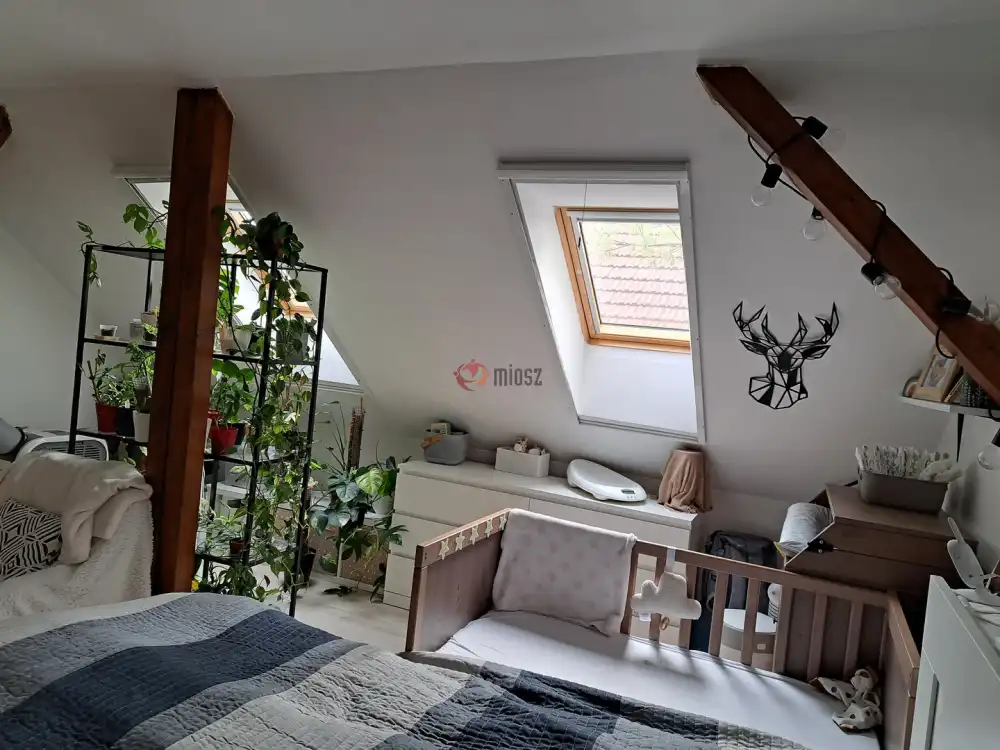 Pest megye - Gödöllő