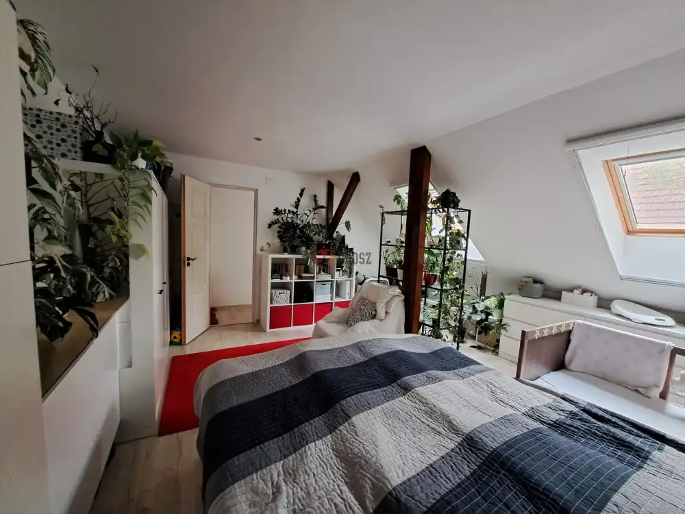 Pest megye - Gödöllő