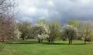 Komárom-Esztergom megye - Komárom