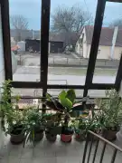 Bács-Kiskun megye - Kunpeszér