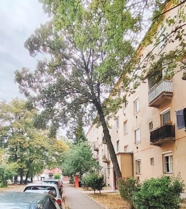 Eladó téglalakás, Miskolc 2 szoba 56 m² 27 M Ft