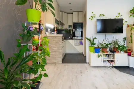 eladó téglalakás, Mosonmagyaróvár