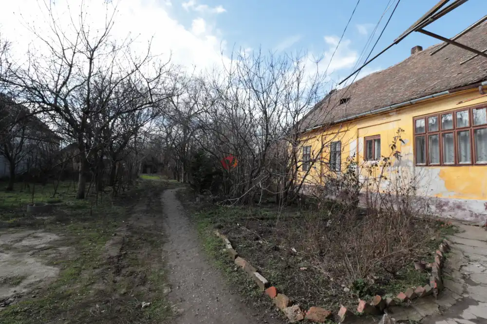 Békés megye - Orosháza