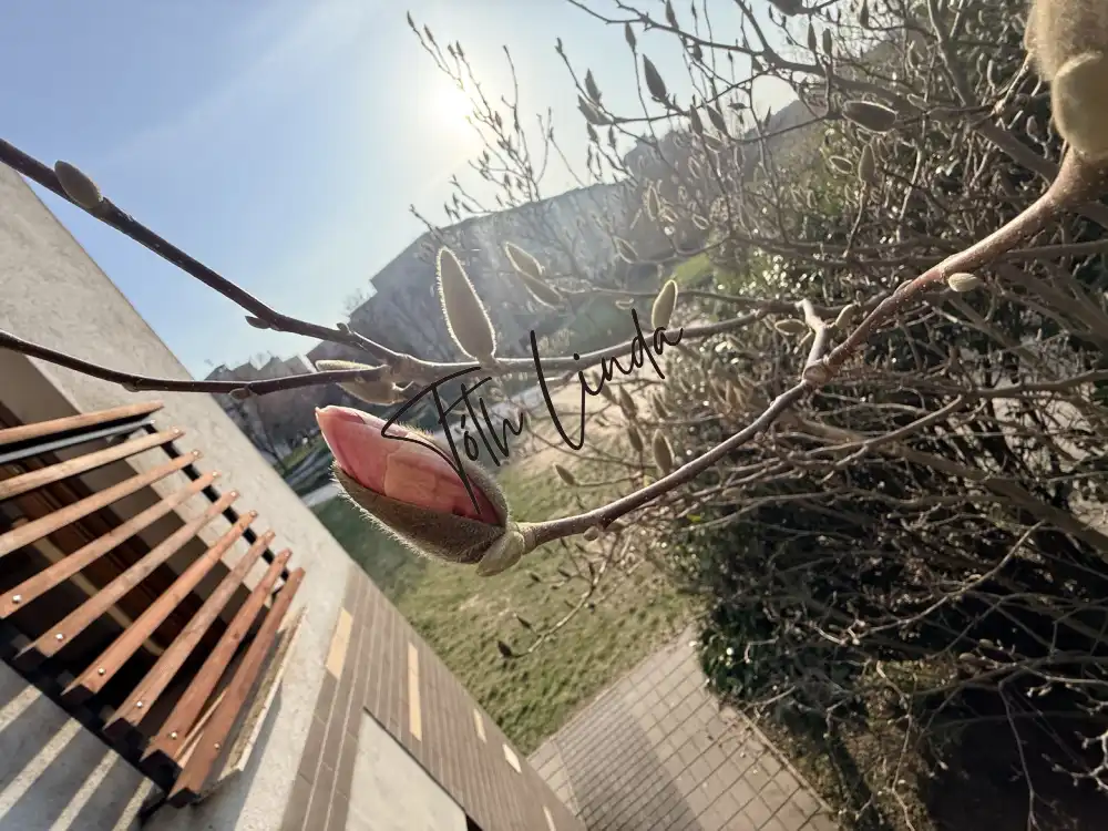 Komárom-Esztergom megye - Oroszlány