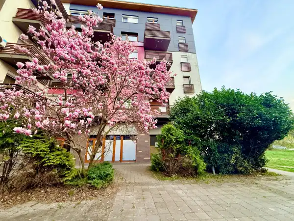 Eladó téglalakás, Oroszlány 2 szoba 46 m² 50.5 M Ft