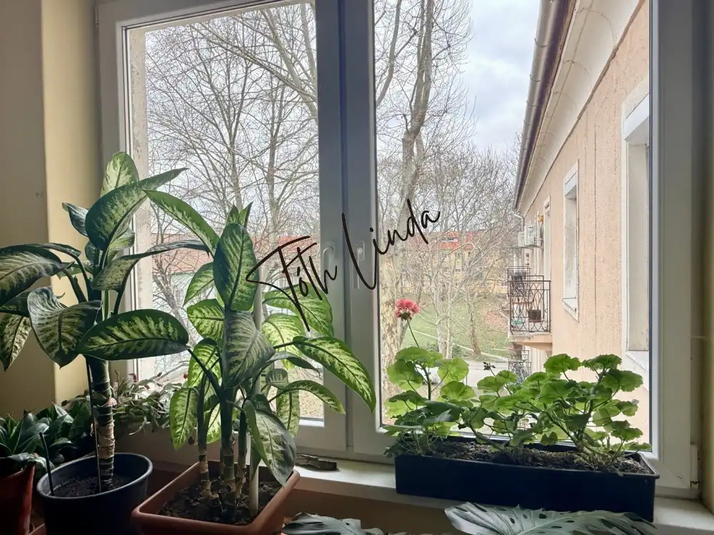 Komárom-Esztergom megye - Oroszlány