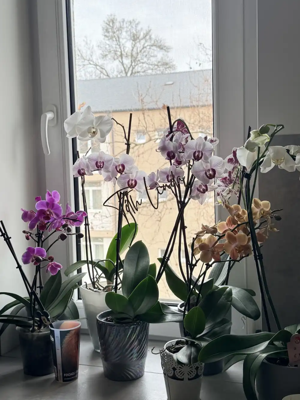 Komárom-Esztergom megye - Oroszlány