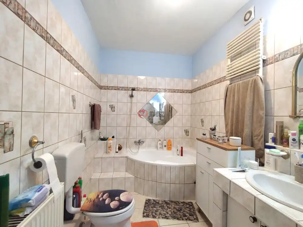 Csongrád megye - Szeged