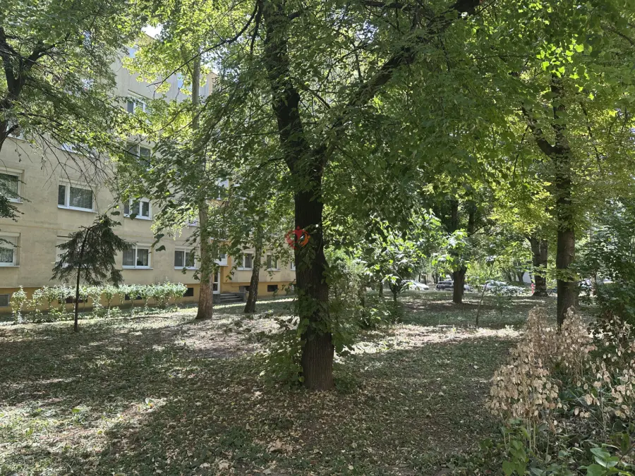 eladó téglalakás, Székesfehérvár