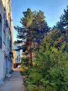 Komárom-Esztergom megye - Tatabánya