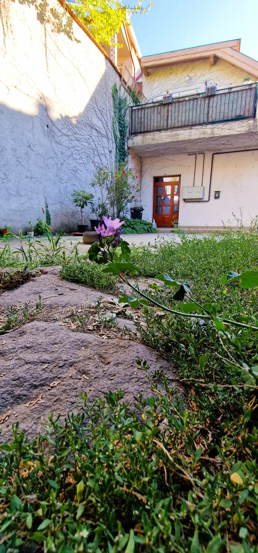 Pest megye - Vác