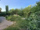 Pest megye - Vác
