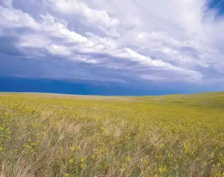 eladó telek, Dabas