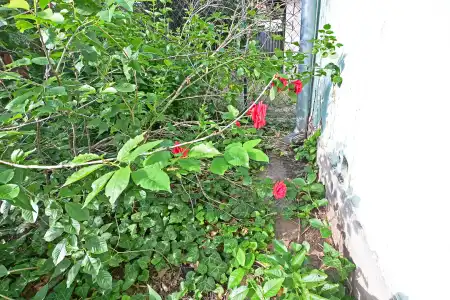 eladó telek, Gyál