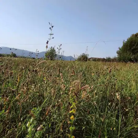 eladó telek, Kismaros