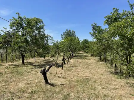 eladó telek, Nyírpazony